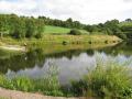 Donaldsons Fishery and Lake ( Trout Fishing in Holywood, Co Down, Ireland ) image 1