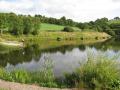 Donaldsons Fishery and Lake ( Trout Fishing in Holywood, Co Down, Ireland ) logo