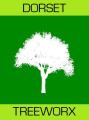 Dorset tree surgeons (Free Quotes) DORSET TREEWORX - Tree care work services. image 5