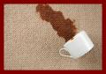 Down Carpet and Upholstery Cleaning image 1