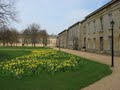 Downing College image 9