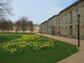 Downing College image 9