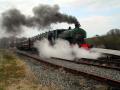 Downpatrick & County Down Railway logo