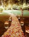 Dream Weddings and Events image 4