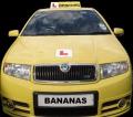Driving Lessons Drive Me Bananas Kirkcaldy logo