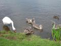 Druridge Bay Country Park image 4