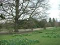 Dulwich Park image 5