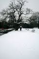 Dulwich Park image 5
