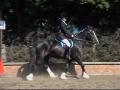 Dulwich Riding School image 2