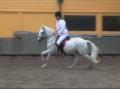 Dulwich Riding School image 5