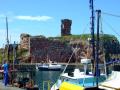 Dunbar Castle image 2