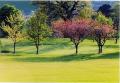 Dunblane New Golf Club image 3
