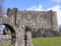 Dunstaffnage Castle logo