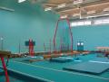 Dynamo School of Gymnastics image 1