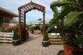 Earlswood Garden & Landscape Centre image 3