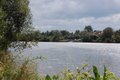 Earlswood Lakes image 2