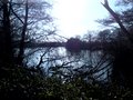 Earlswood Lakes image 9
