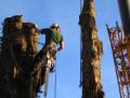 East Devon Tree Care Ltd image 4