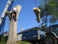 East Devon Tree Care Ltd image 5