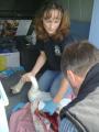 East Sussex Wildlife Rescue & Ambulance Service image 2
