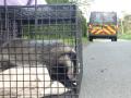 East Sussex Wildlife Rescue & Ambulance Service image 8