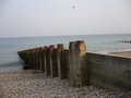 Eastbourne image 8