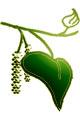Eco Tree Care & Conservation Ltd logo