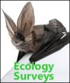 Ecology & Wildlife Services image 3