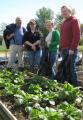 Eden Allotment Holders Association image 1