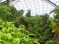 Eden Project image 2