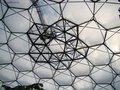 Eden Project image 6