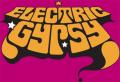 Electric Gypsy Ltd image 6