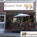 Elephant Walk image 5