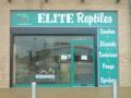 Elite Reptiles logo