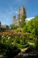 Ely Cathedral image 2
