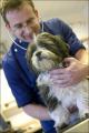 Emersons Green Veterinary Surgery image 8