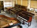 Empire Pianos image 5