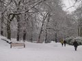 Endcliffe Park image 2