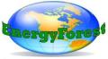 EnergyForest logo