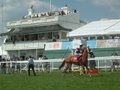 Epsom Downs Racecourse image 3
