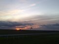 Epsom Downs Racecourse image 7