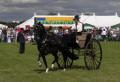 Epworth Show image 3