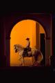 Equestrian Escapes Ltd image 2