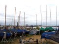 Erith Yacht Club image 8