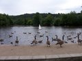 Etherow Country Park image 4
