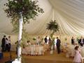 Event marquee company Ltd image 3