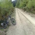 FOREST OF DEAN MOUNTAIN BIKE HOLIDAYS image 3