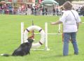 Fair Weather Dog Training Club image 2