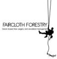 Faircloth Forestry image 2