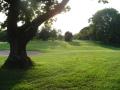 Fairwood Park Golf Club image 1
